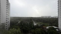 Heron Bay (D19), Condominium #532096111